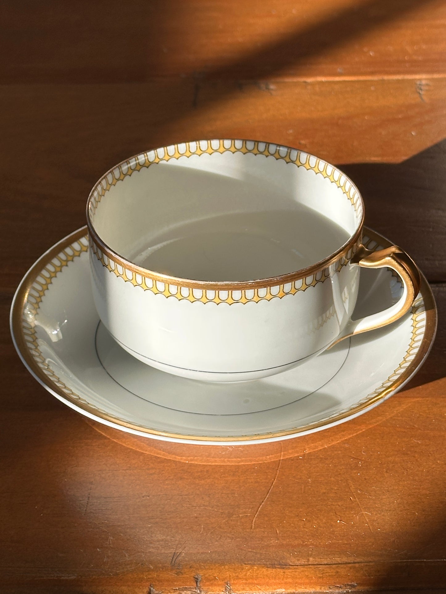 Cup & Saucer Schleiger 278-1 by Haviland