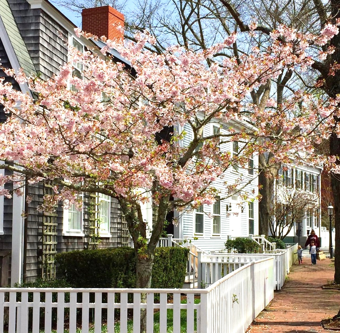 Spring