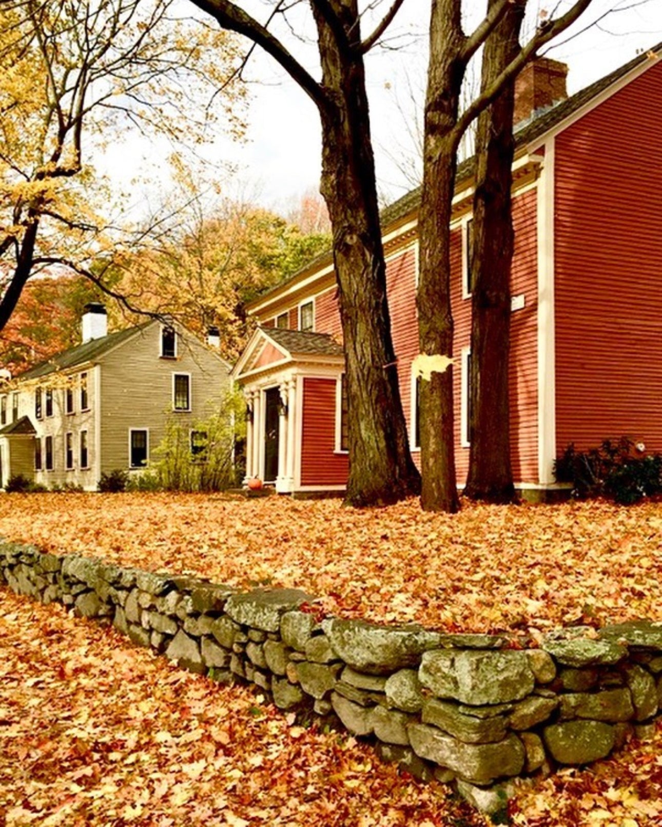 Fall