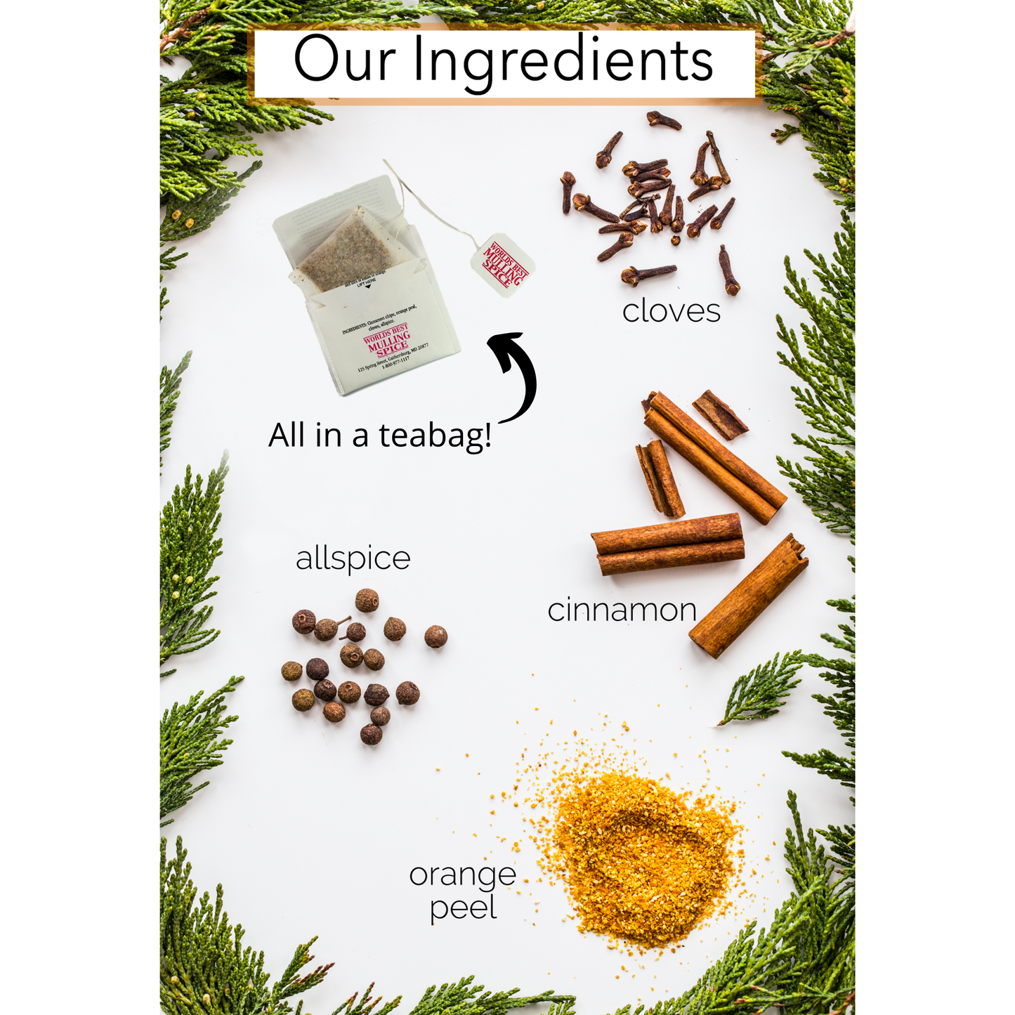 Olde Tradition Spice Mulling Spice in Tea Bags: 8 Tea Bags Per Box