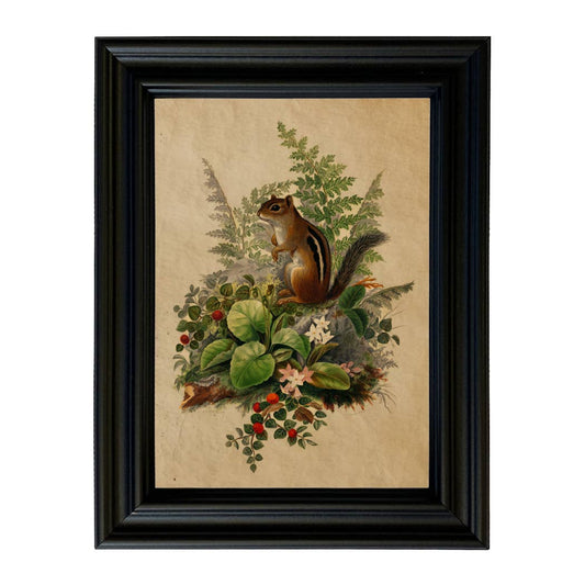Woodland Chipmunk Cottagecore Framed Reproduction Print: 5" x 7"