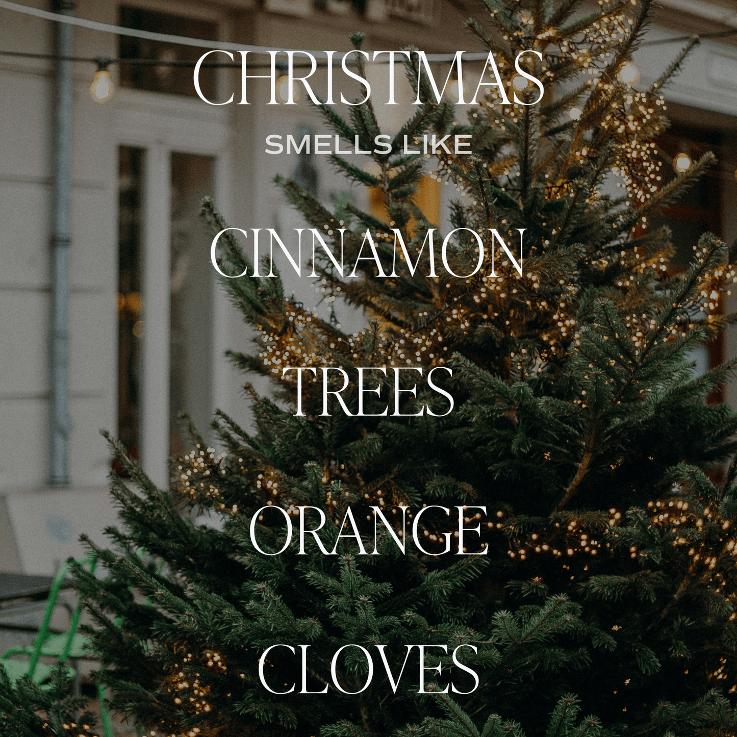 Christmas Reed Diffuser - Christmas Decor & Gifts