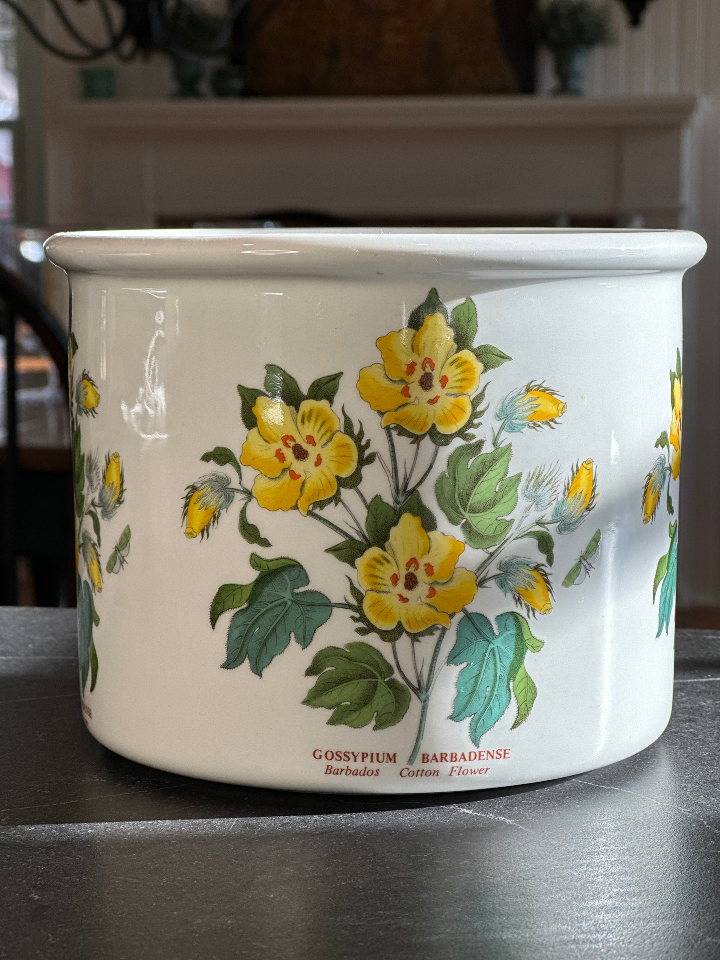 Available March 12th - Portmeirion - Planter - The Botanic Garden - 1972