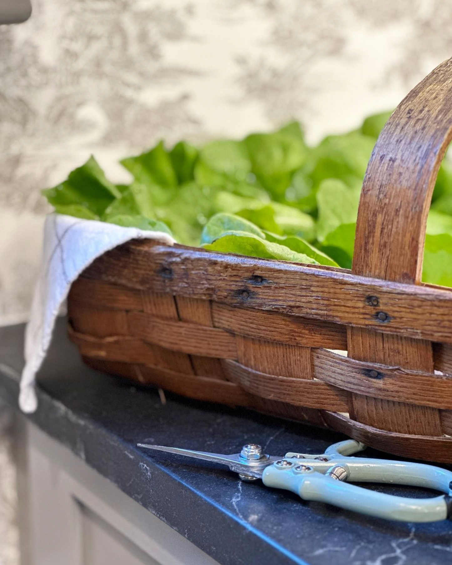 Garden Shears